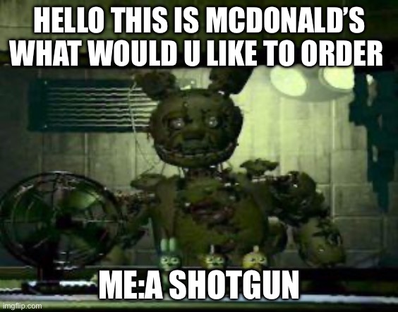 FNAF Springtrap in window | HELLO THIS IS MCDONALD’S WHAT WOULD U LIKE TO ORDER; ME:A SHOTGUN | image tagged in fnaf springtrap in window | made w/ Imgflip meme maker