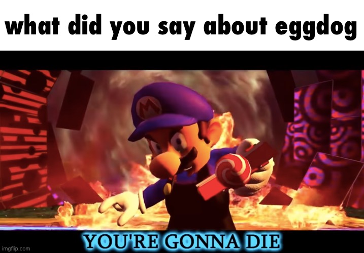 SMG3 you're gonna die | what did you say about eggdog | image tagged in smg3 you're gonna die | made w/ Imgflip meme maker