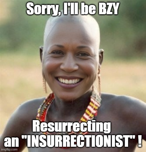 Sorry, I'll be BZY Resurrecting 
an "INSURRECTIONIST" ! | made w/ Imgflip meme maker