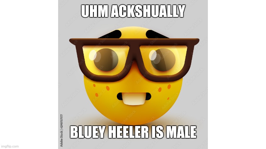 Post this image in your comments | UHM ACKSHUALLY; BLUEY HEELER IS MALE | image tagged in um actually | made w/ Imgflip meme maker