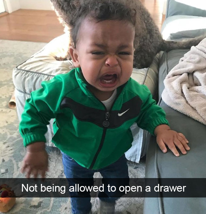 Drawer kid Blank Meme Template