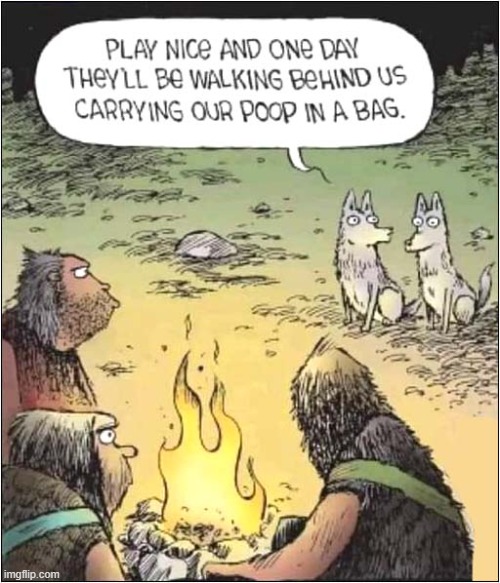 They Were Always Smart ! | image tagged in dogs,caveman,smart | made w/ Imgflip meme maker