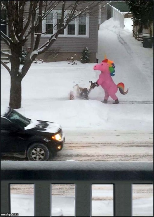 Always Remember To Wear Something Warm When Clearing The Snow ! | image tagged in snow,clearing,unicorn | made w/ Imgflip meme maker