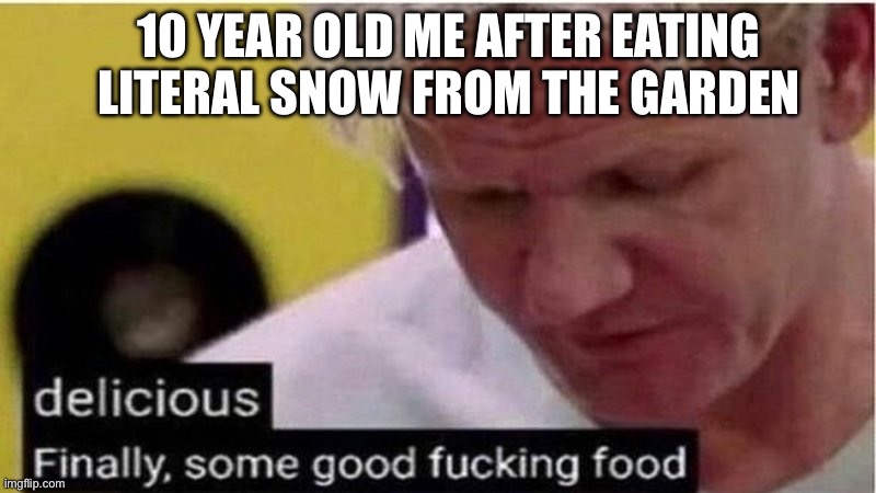 A 5 star meal in my opinion | 10 YEAR OLD ME AFTER EATING LITERAL SNOW FROM THE GARDEN | image tagged in gordon ramsay some good food,childhood,snow | made w/ Imgflip meme maker