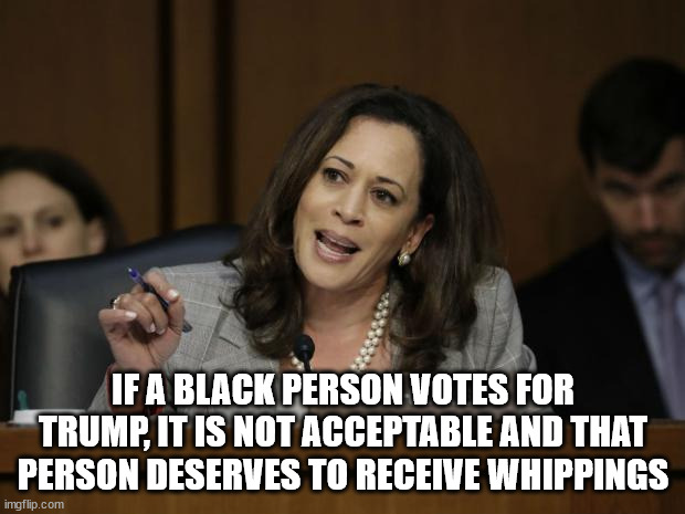 Kamala Harris | IF A BLACK PERSON VOTES FOR TRUMP, IT IS NOT ACCEPTABLE AND THAT PERSON DESERVES TO RECEIVE WHIPPINGS | image tagged in kamala harris | made w/ Imgflip meme maker