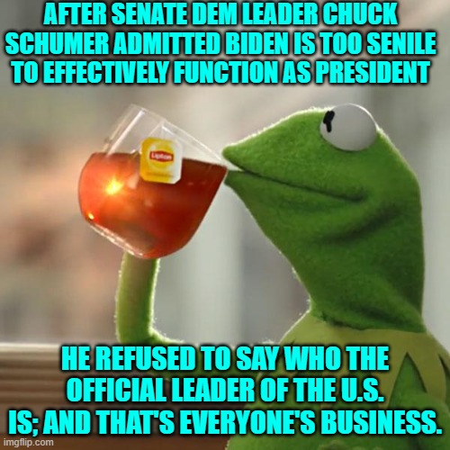 Doesn't it seem weird that neither RINOs nor their leftist political allies are curious? | AFTER SENATE DEM LEADER CHUCK SCHUMER ADMITTED BIDEN IS TOO SENILE TO EFFECTIVELY FUNCTION AS PRESIDENT; HE REFUSED TO SAY WHO THE OFFICIAL LEADER OF THE U.S. IS; AND THAT'S EVERYONE'S BUSINESS. | image tagged in but that's none of my business | made w/ Imgflip meme maker