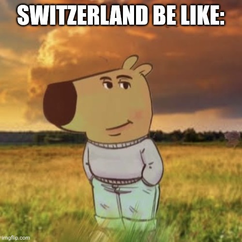 Switzerland | SWITZERLAND BE LIKE: | image tagged in chill guy | made w/ Imgflip meme maker