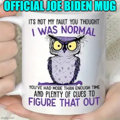 I mean how many 'clues' did you Dem Party voters NEED over the course of four years? | OFFICIAL JOE BIDEN MUG | image tagged in yep | made w/ Imgflip meme maker