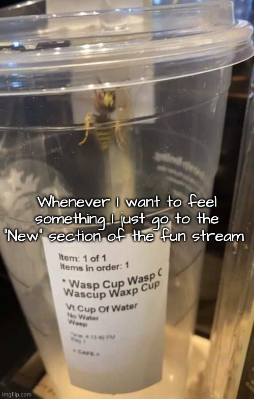 Wasp cup Wasp cup Wasp cup Wasp cup Wasp cup Wasp cup Wasp cup | Whenever I want to feel something I just go to the "New" section of the fun stream | image tagged in wasp cup wasp cup wasp cup wasp cup wasp cup wasp cup wasp cup | made w/ Imgflip meme maker