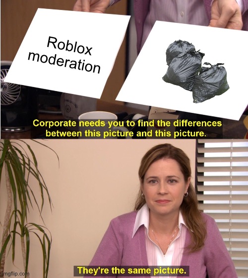 They're The Same Picture | Roblox moderation | made w/ Imgflip meme maker