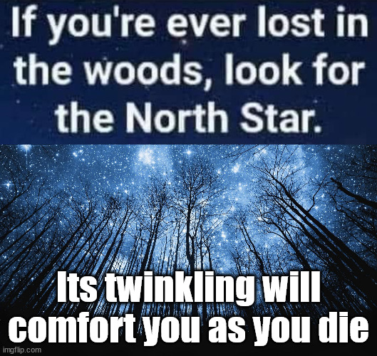 Lost | Its twinkling will comfort you as you die | image tagged in okay which one's the north star again | made w/ Imgflip meme maker