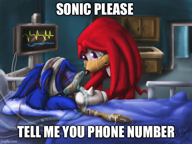 sonic please | SONIC PLEASE; TELL ME YOU PHONE NUMBER | image tagged in sonic please | made w/ Imgflip meme maker