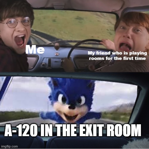 whyyyyyyyyyy | Me; My friend who is playing rooms for the first time; A-120 IN THE EXIT ROOM | image tagged in sonic chasing harry and ron,roblox doors | made w/ Imgflip meme maker