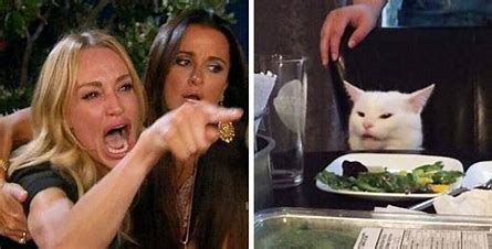 Woman Yelling At Cat Blank Meme Template