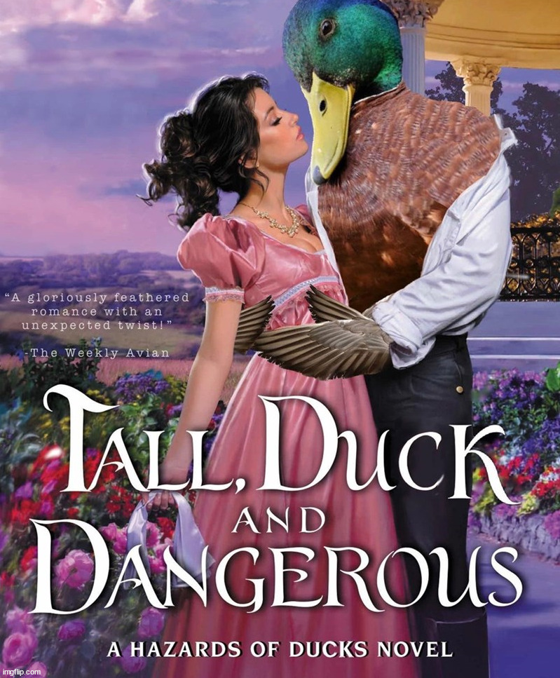 Duck romance | image tagged in fake | made w/ Imgflip meme maker