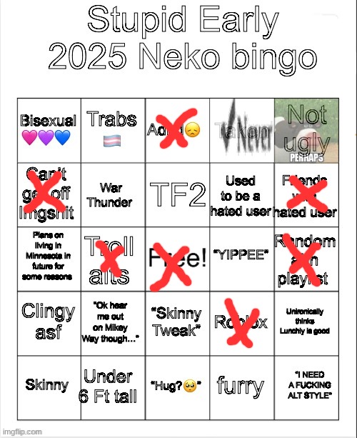 dumb shit done by a dumb guy | image tagged in early 2025 neko bingo | made w/ Imgflip meme maker