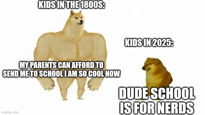 Swole Doge vs. Cheems | KIDS IN THE 1800S:; KIDS IN 2025:; MY PARENTS CAN AFFORD TO SEND ME TO SCHOOL I AM SO COOL NOW; DUDE SCHOOL IS FOR NERDS | image tagged in swole doge vs cheems | made w/ Imgflip meme maker