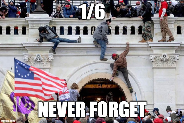 Happy Insurrection Day | 1/6; NEVER FORGET | image tagged in january 6th | made w/ Imgflip meme maker