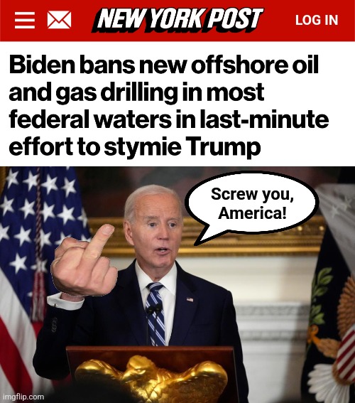 Remember: never vote democrat! | Screw you,
America! | image tagged in memes,joe biden,democrats,destruction of america,oil,trump derangement syndrome | made w/ Imgflip meme maker