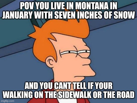 Futurama Fry | POV YOU LIVE IN MONTANA IN JANUARY WITH SEVEN INCHES OF SNOW; AND YOU CANT TELL IF YOUR WALKING ON THE SIDEWALK OR THE ROAD | image tagged in memes,futurama fry,snow | made w/ Imgflip meme maker