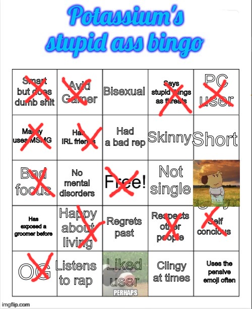 liked user yes or no | image tagged in potassium's stupid ass bingo | made w/ Imgflip meme maker