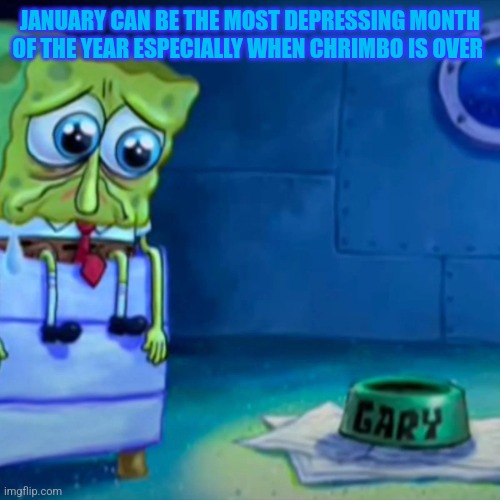 Gary Come Home | JANUARY CAN BE THE MOST DEPRESSING MONTH OF THE YEAR ESPECIALLY WHEN CHRIMBO IS OVER | image tagged in gary come home,depression,january,january blues,gloomy,chrimbo is over | made w/ Imgflip meme maker