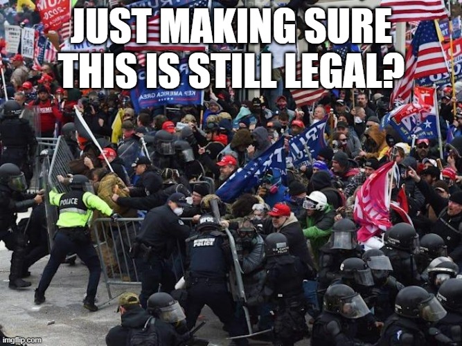 Love fest 2025 | JUST MAKING SURE THIS IS STILL LEGAL? | image tagged in cop-killer maga right wing capitol riot january 6th | made w/ Imgflip meme maker