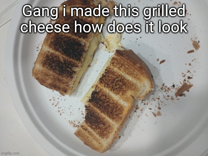 nethercanary6 grilled cheese | Gang i made this grilled cheese how does it look | image tagged in nethercanary6 grilled cheese | made w/ Imgflip meme maker