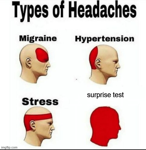 Types of Headaches meme | surprise test | image tagged in types of headaches meme | made w/ Imgflip meme maker