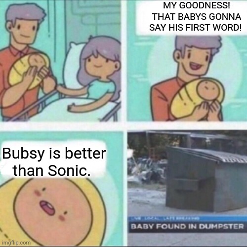 Baby Found in Dumpster | MY GOODNESS! THAT BABYS GONNA SAY HIS FIRST WORD! Bubsy is better than Sonic. | image tagged in baby found in dumpster,sonic the hedgehog,bubsy | made w/ Imgflip meme maker