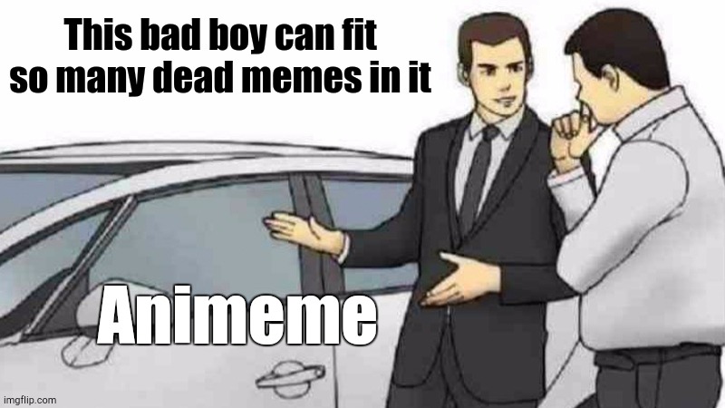 Dead, Not Big Surprise | This bad boy can fit so many dead memes in it; Animeme | image tagged in memes,car salesman slaps roof of car | made w/ Imgflip meme maker