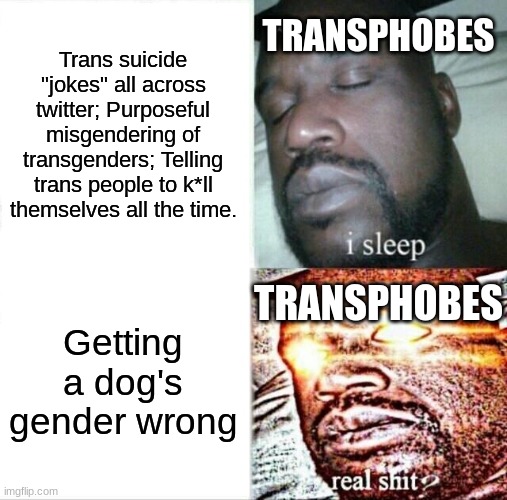 My 'Hypocrite detector' is going crazy! | TRANSPHOBES; Trans suicide "jokes" all across twitter; Purposeful misgendering of transgenders; Telling trans people to k*ll themselves all the time. TRANSPHOBES; Getting a dog's gender wrong | image tagged in memes,sleeping shaq,lgbtq,transgender,transphobic | made w/ Imgflip meme maker