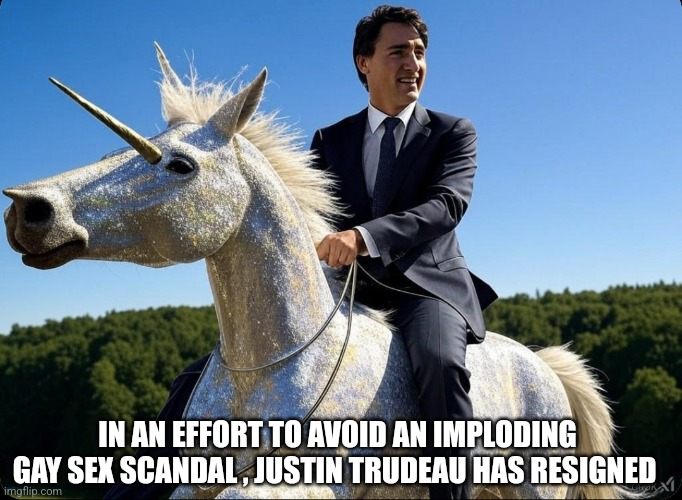 IN AN EFFORT TO AVOID AN IMPLODING GAY SEX SCANDAL , JUSTIN TRUDEAU HAS RESIGNED | image tagged in funny memes | made w/ Imgflip meme maker