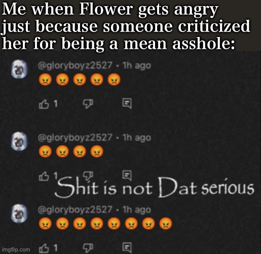 Shit is not Dat serious | Me when Flower gets angry just because someone criticized her for being a mean asshole: | image tagged in shit is not dat serious | made w/ Imgflip meme maker