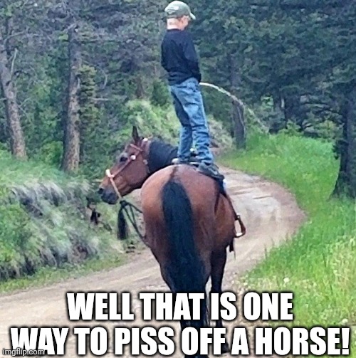 Well That Is One Way To Piss Off A Horse! | WELL THAT IS ONE WAY TO PISS OFF A HORSE! | image tagged in chris joines | made w/ Imgflip meme maker