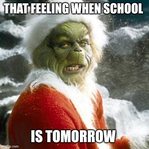 grinch | THAT FEELING WHEN SCHOOL; IS TOMORROW | image tagged in grinch | made w/ Imgflip meme maker