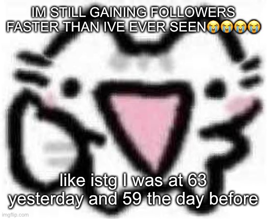 silly cat thumbs up (content aware scale) | IM STILL GAINING FOLLOWERS FASTER THAN IVE EVER SEEN😭😭😭😭; like istg I was at 63 yesterday and 59 the day before | image tagged in silly cat thumbs up content aware scale | made w/ Imgflip meme maker