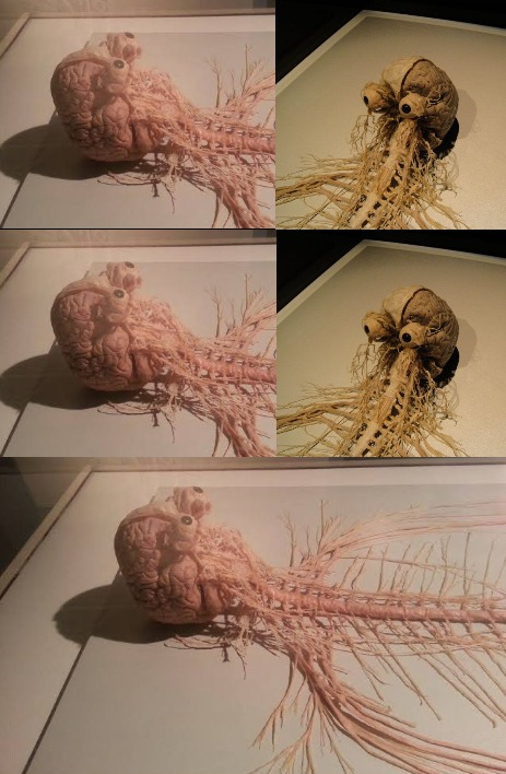 Nervous system thinking Blank Meme Template