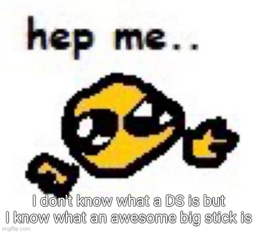 hep me.. | I don't know what a DS is but I know what an awesome big stick is | image tagged in hep me | made w/ Imgflip meme maker