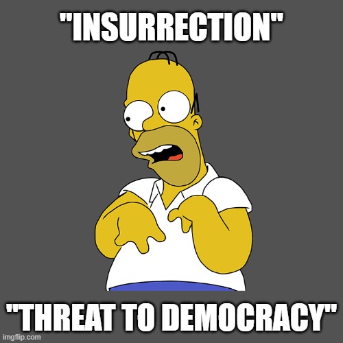 "INSURRECTION"; "THREAT TO DEMOCRACY" | made w/ Imgflip meme maker