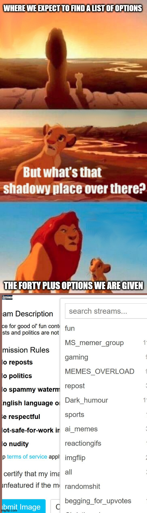 can this have a clear menu | WHERE WE EXPECT TO FIND A LIST OF OPTIONS; THE FORTY PLUS OPTIONS WE ARE GIVEN | image tagged in memes,simba shadowy place,ocd | made w/ Imgflip meme maker