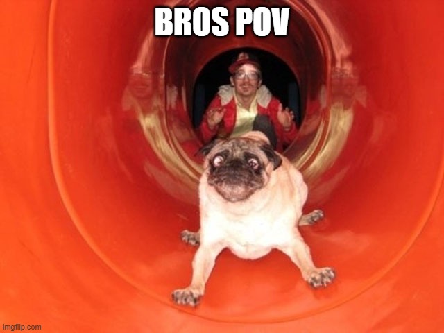 Dog Slide | BROS POV | image tagged in dog slide | made w/ Imgflip meme maker