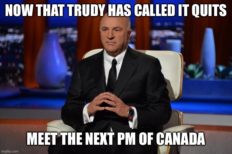 Mr. Wonderful | NOW THAT TRUDY HAS CALLED IT QUITS; MEET THE NEXT PM OF CANADA | image tagged in mr wonderful | made w/ Imgflip meme maker