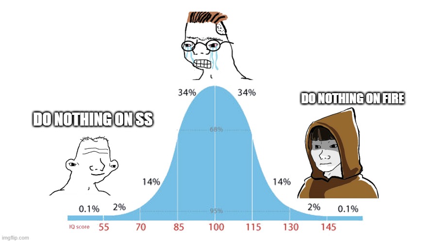 Normal Distribution meme | DO NOTHING ON FIRE; DO NOTHING ON SS | image tagged in normal distribution meme | made w/ Imgflip meme maker