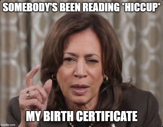 Drunk Kamala | SOMEBODY'S BEEN READING *HICCUP* MY BIRTH CERTIFICATE | image tagged in drunk kamala | made w/ Imgflip meme maker