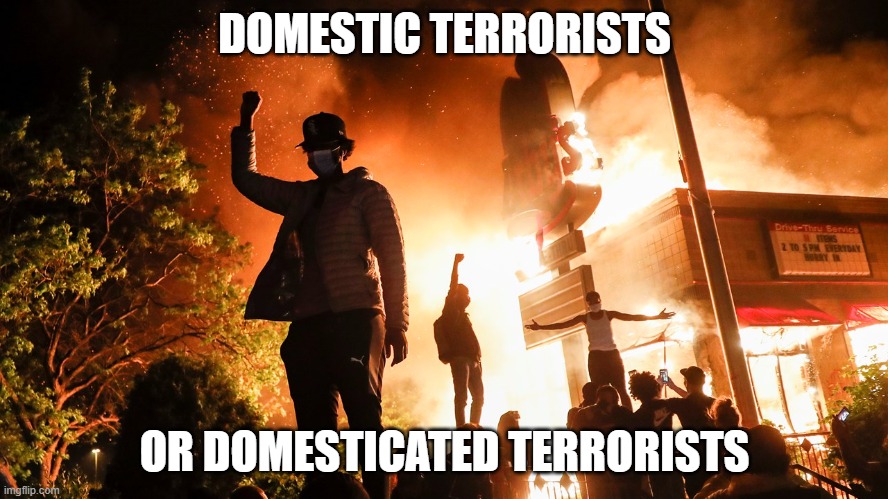 BLM Riots | DOMESTIC TERRORISTS; OR DOMESTICATED TERRORISTS | image tagged in blm riots | made w/ Imgflip meme maker