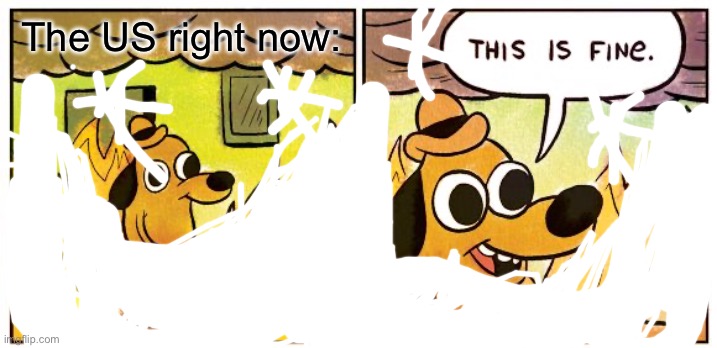 Too much snow | The US right now: | image tagged in memes,this is fine,snow,weather | made w/ Imgflip meme maker