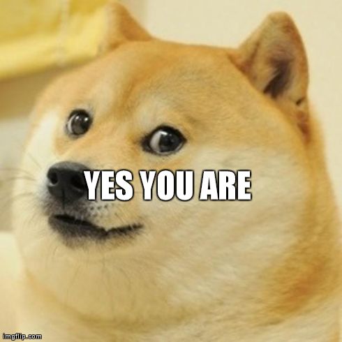 Doge Meme | YES YOU ARE | image tagged in memes,doge | made w/ Imgflip meme maker