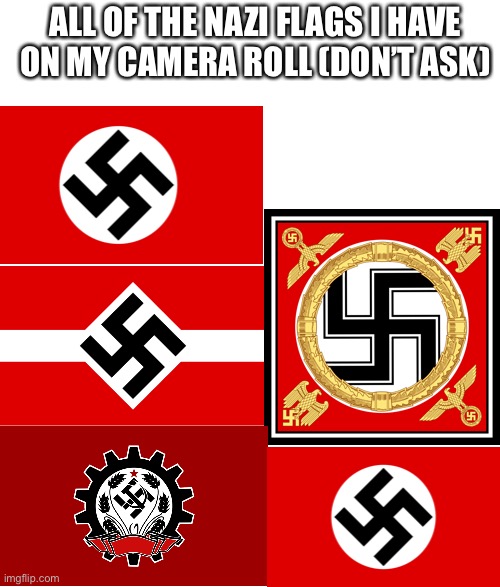 I am now permanently banned from Germany | ALL OF THE NAZI FLAGS I HAVE ON MY CAMERA ROLL (DON’T ASK) | image tagged in nazi,camera roll | made w/ Imgflip meme maker