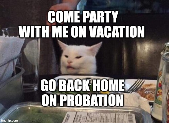 Smudge that darn cat | COME PARTY WITH ME ON VACATION; GO BACK HOME ON PROBATION | image tagged in smudge that darn cat | made w/ Imgflip meme maker